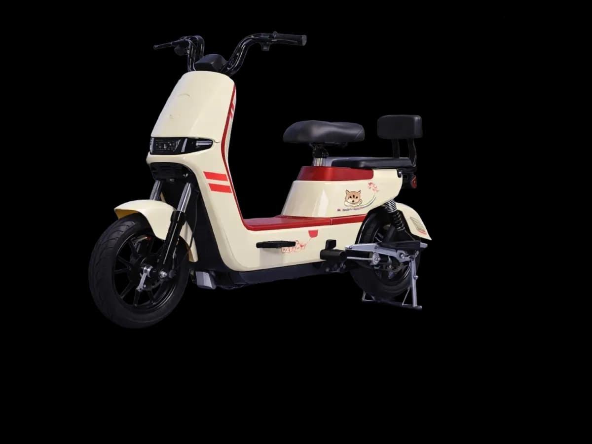 Bici eléctrica QCM